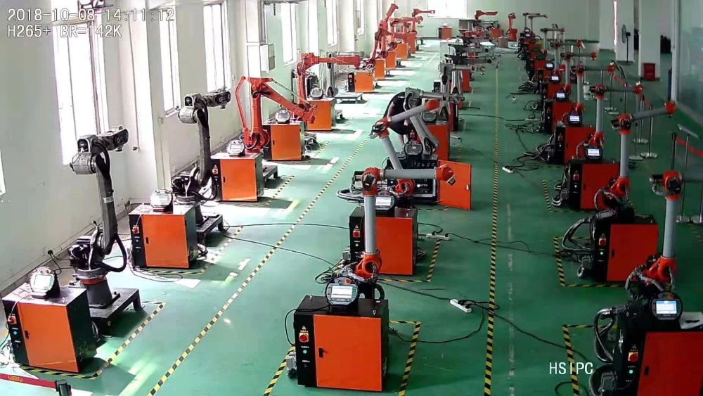 6 Axis Industrial Robot