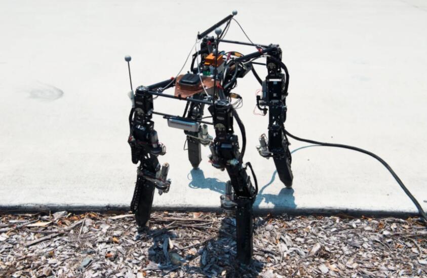 Quadruped robot