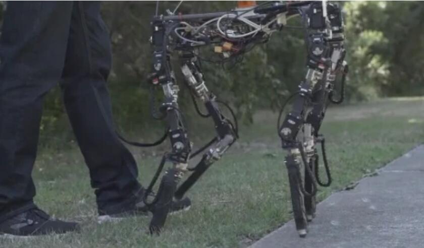 Quadruped robot