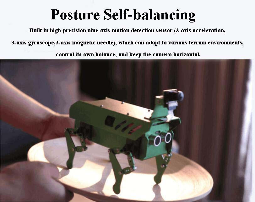 robotic dog