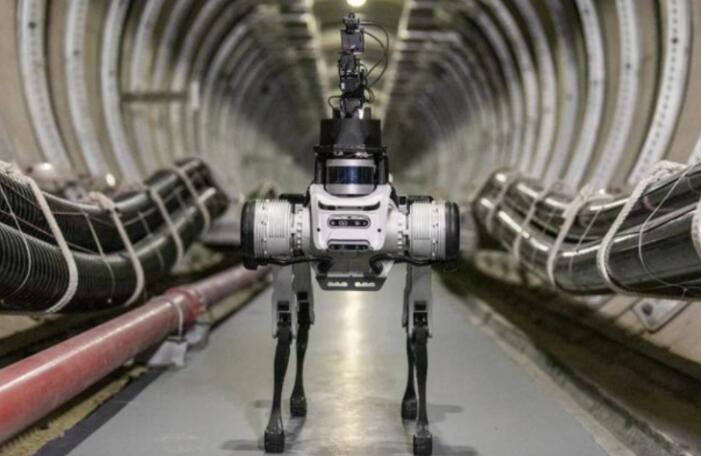 robotic dog 