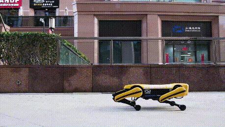 Smart Robot Dog