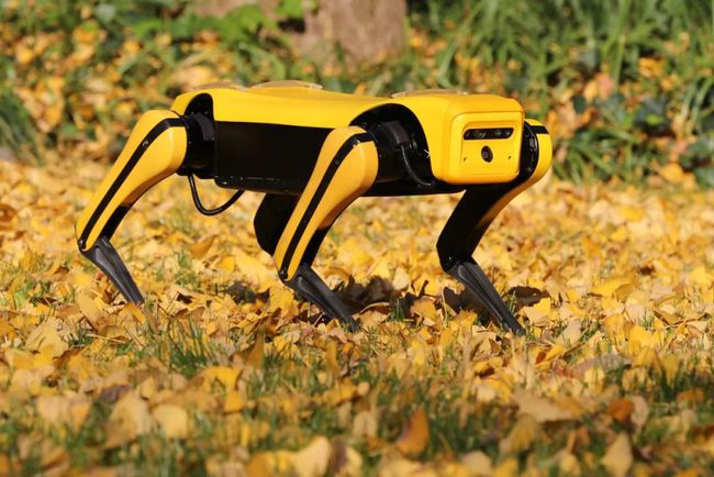 Smart Robot Dog