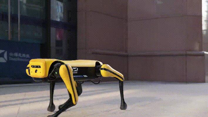 Smart Robot Dog