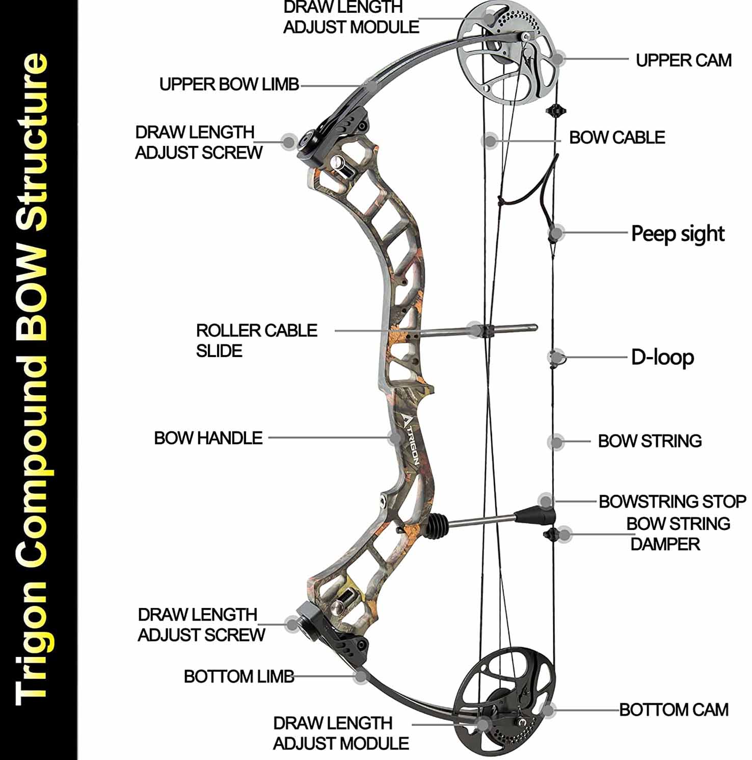 compound bow hunting