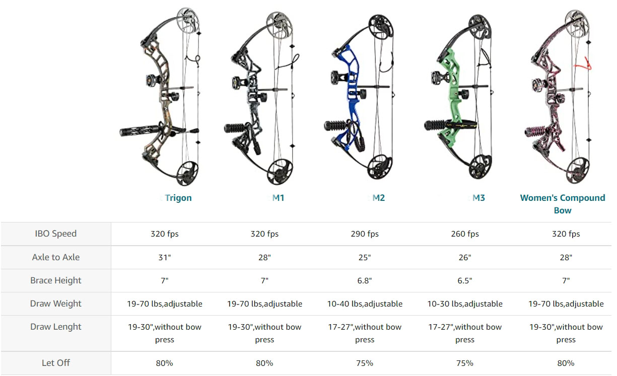 compound bow hunting