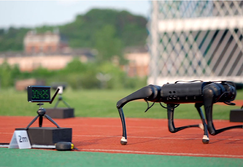 Four-legged Robot Dog