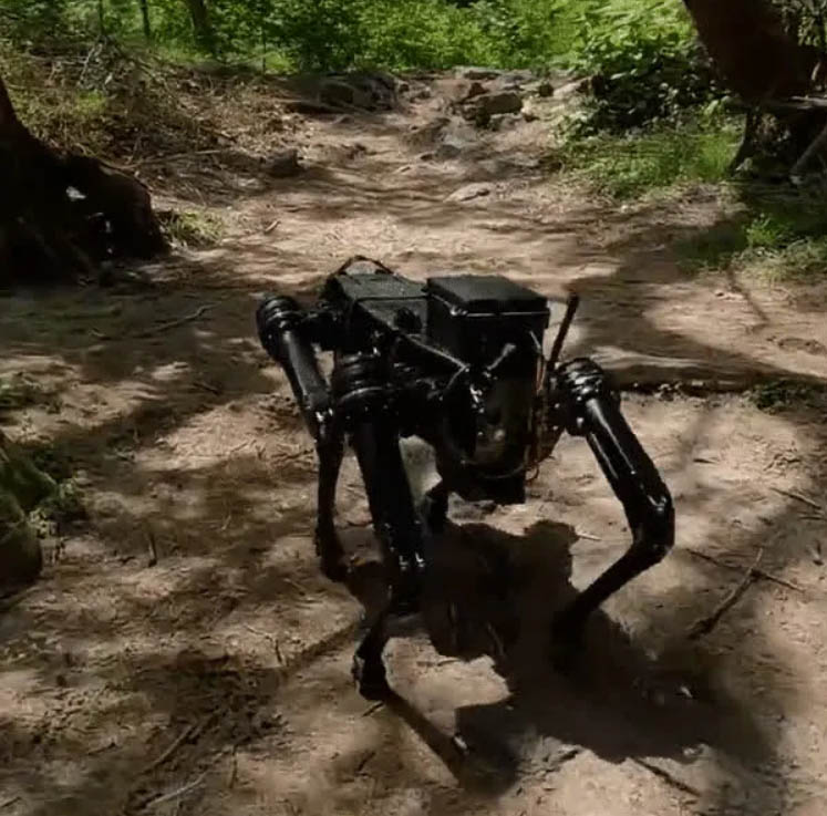 Robot dog