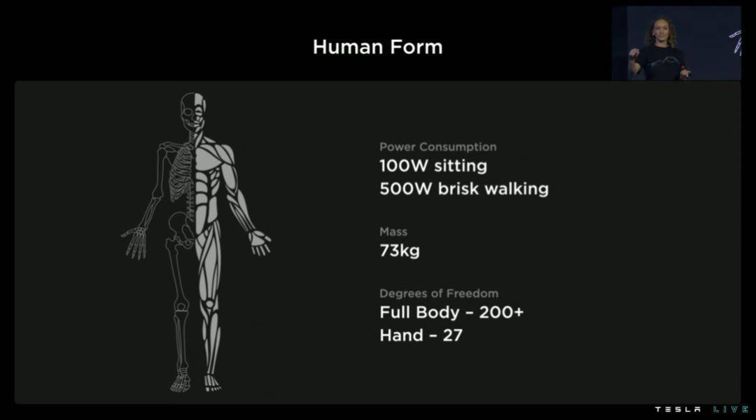 humanoid Robot