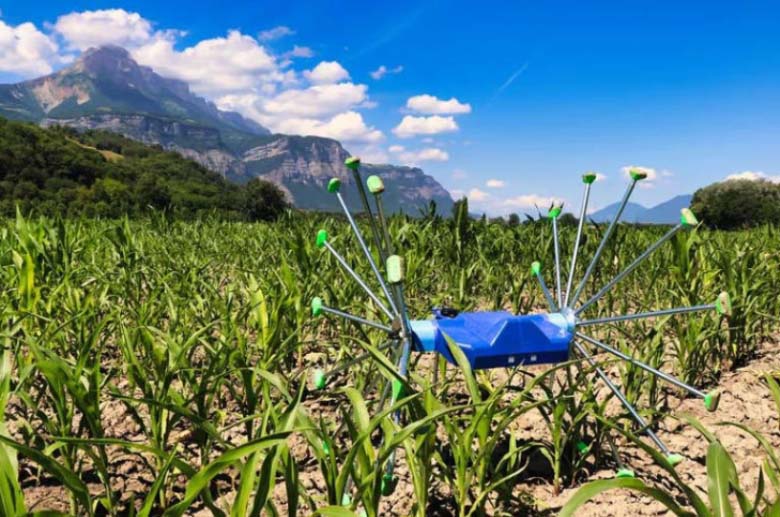 agricultural robot