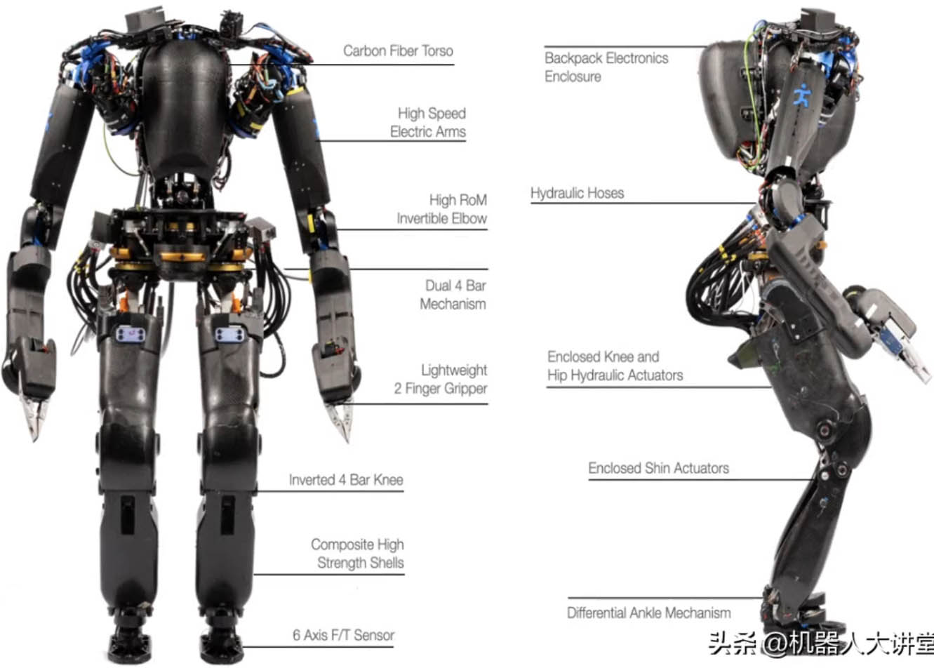 Humanoid Robot