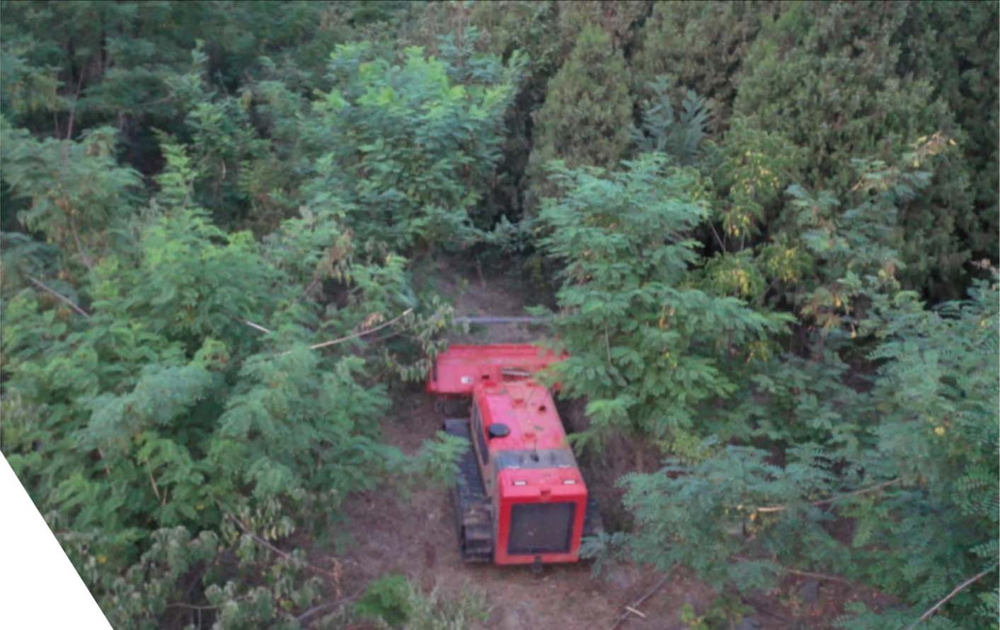 forestry engineering