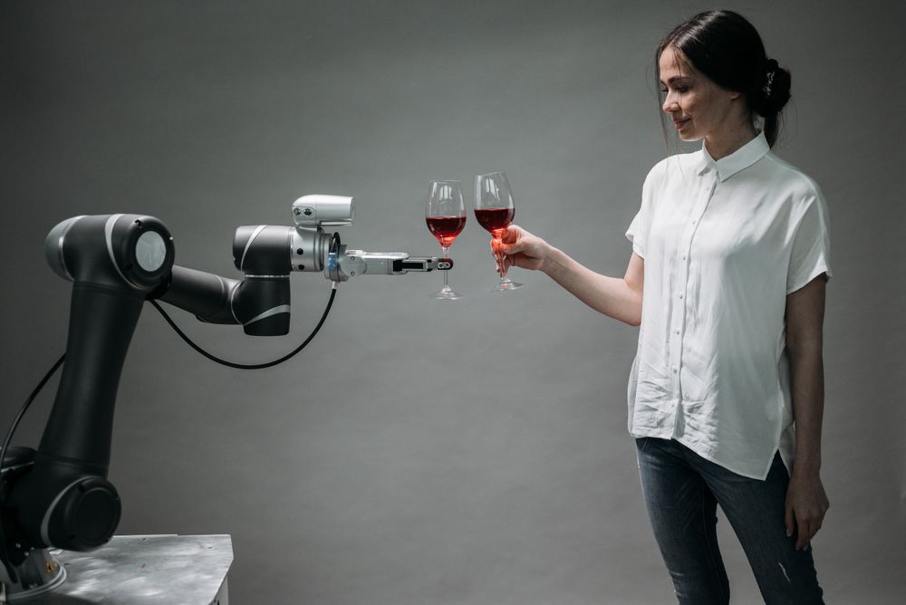 Humanoid Robot Applications