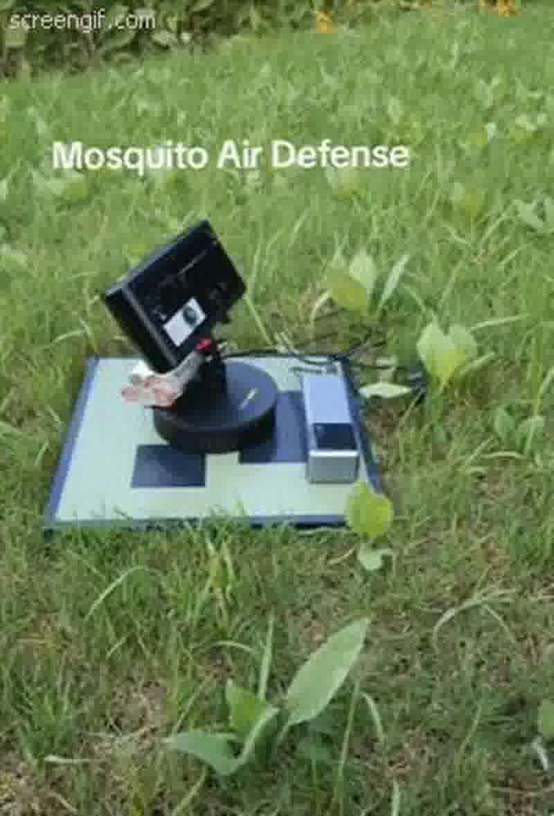 Mosquito problem while camping