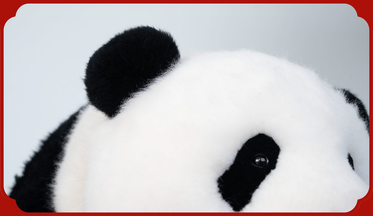 panda robot