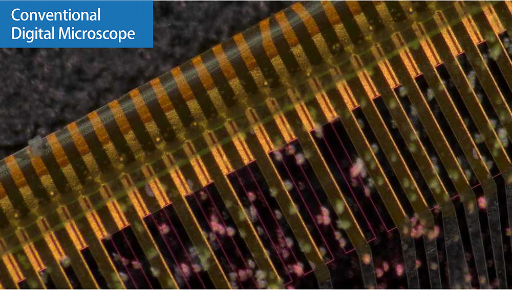 depth of field microscope