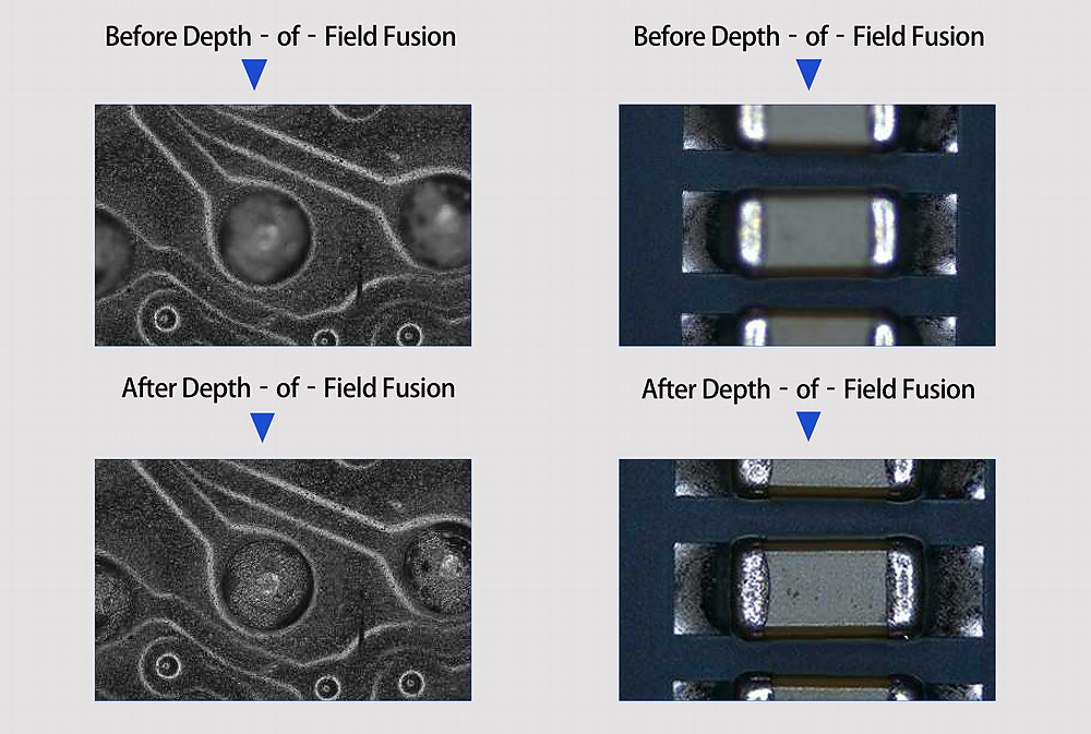 depth of field microscope