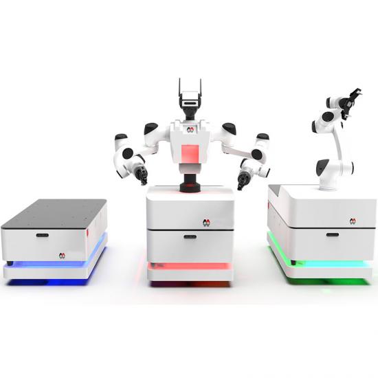 Dual Arm Industrial Robot,Price,Dual-Arm Collaborative Robot System