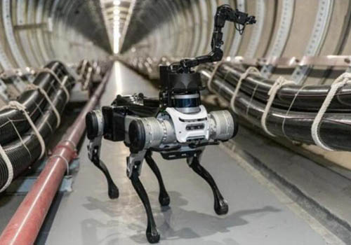 Catch a black-backed robot dog alive, able to move quickly and hurdles
