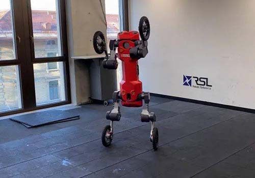 The quadruped legged robot developed by Swiss-Mile can stand, roll, and deliver autonomously