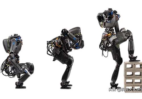 Top bipedal humanoid robot staged 
