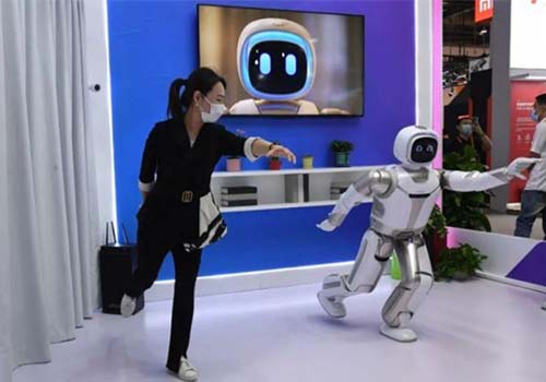 Domestic AI service robot 