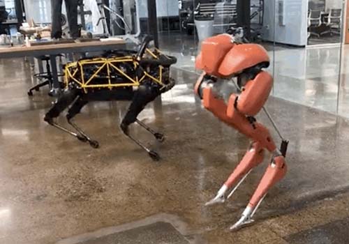Shocked! The bipedal robot Cassie breaks the Guinness World Record for 100 meters in 24.73 seconds
