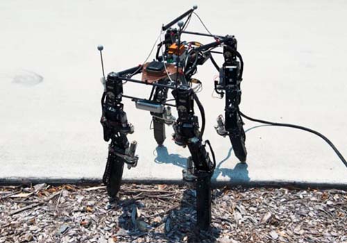 The evolution of quadruped robots is only to adapt to complex terrain