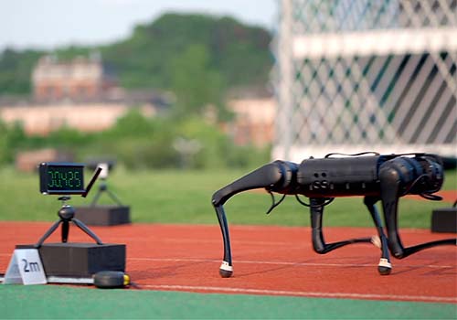 China is leading new industry of world--Four legged robot dog